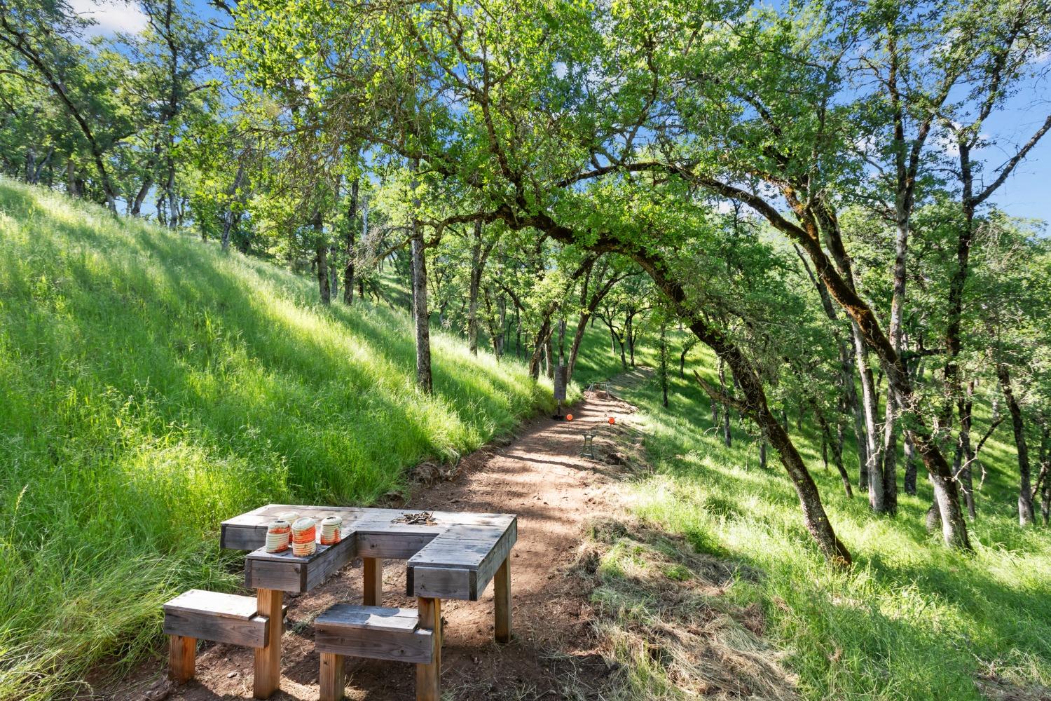 14883 Vaira Ranch Road Drytown, CA 95699 - Photo 38 of 60 a backyard of a house with table and chairs under an umbrella