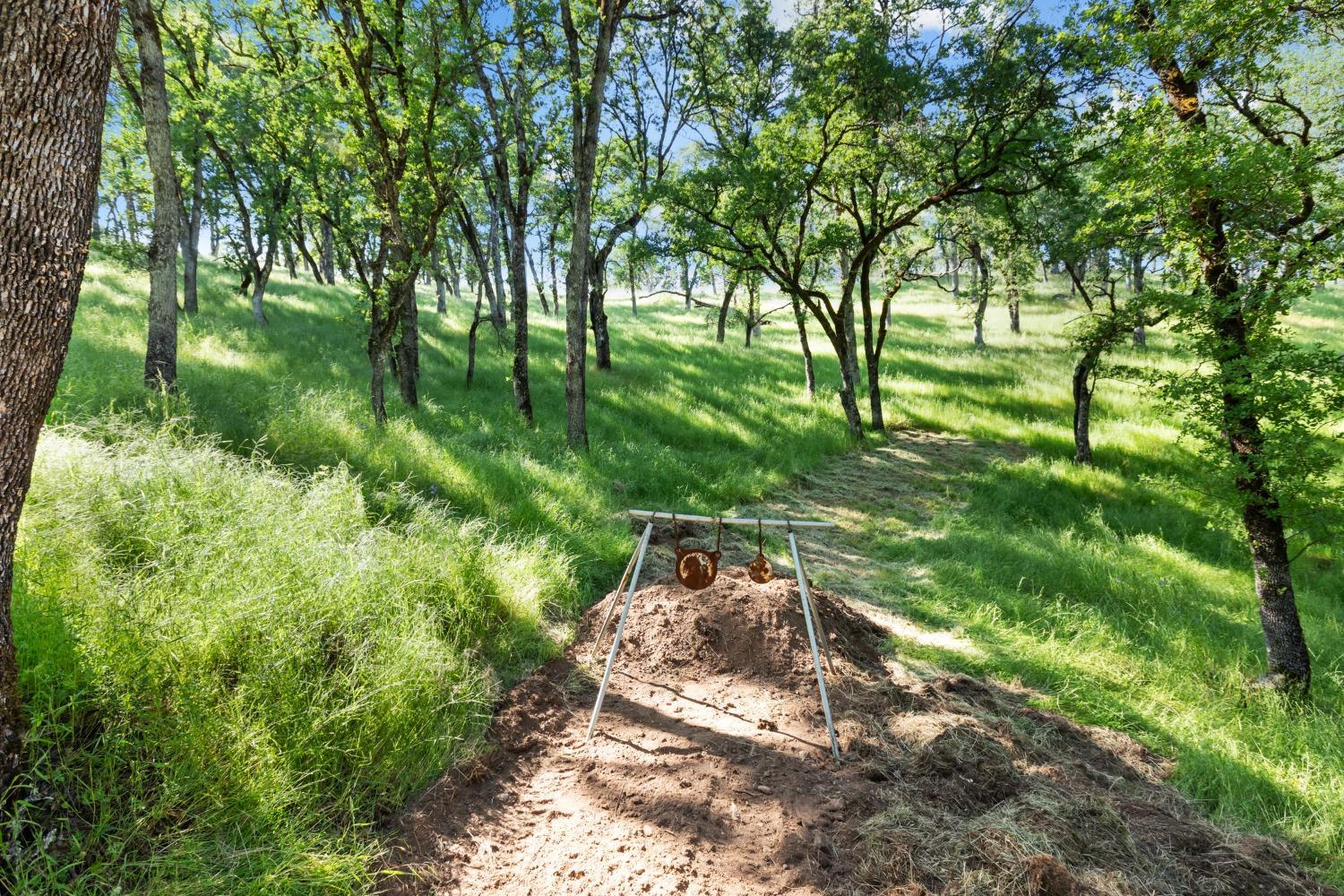 14883 Vaira Ranch Road Drytown, CA 95699 - Photo 39 of 60 a backyard of a house with lots of green space