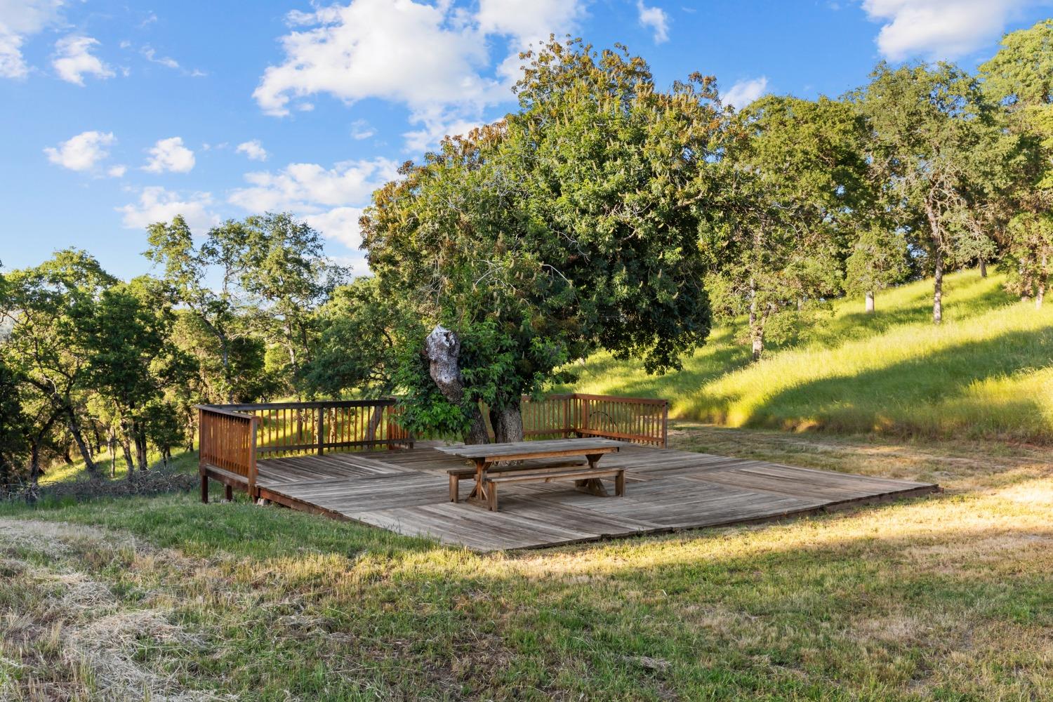 14883 Vaira Ranch Road Drytown, CA 95699 - Photo 41 of 60 a view of a park with large trees