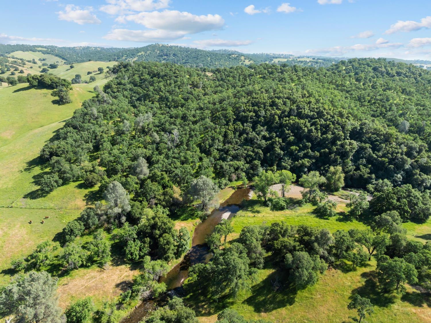14883 Vaira Ranch Road Drytown, CA 95699 - Photo 58 of 60 a view of a bunch of trees and houses