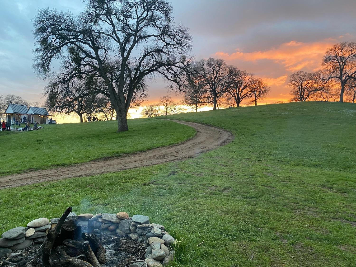 14883 Vaira Ranch Road Drytown, CA 95699 - Photo 8 of 60 a backyard of a house with lots of green space
