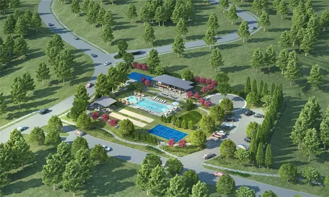 a view of a garden from a living room