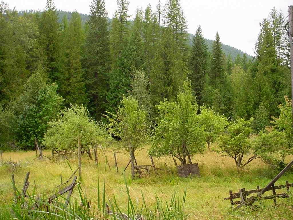 1307 Naff Road Colville, WA 99114 - Photo 9 of 18