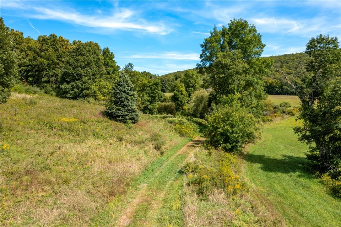 57 Quaker Hill Road Pawling, NY 12564 - Photo 11 of 20 a view of a big yard with large trees
