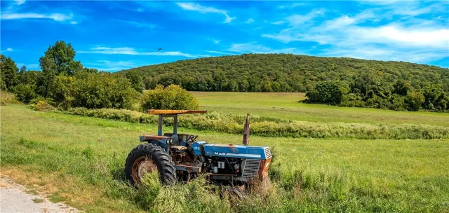 a view of a lake with a yard