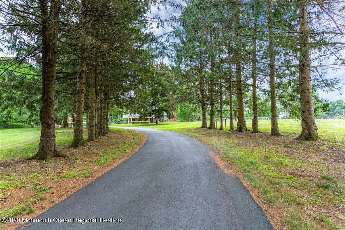 58 Ridge Road Branchville, NJ 07826 - Photo 2 of 51 a view of a park with large trees