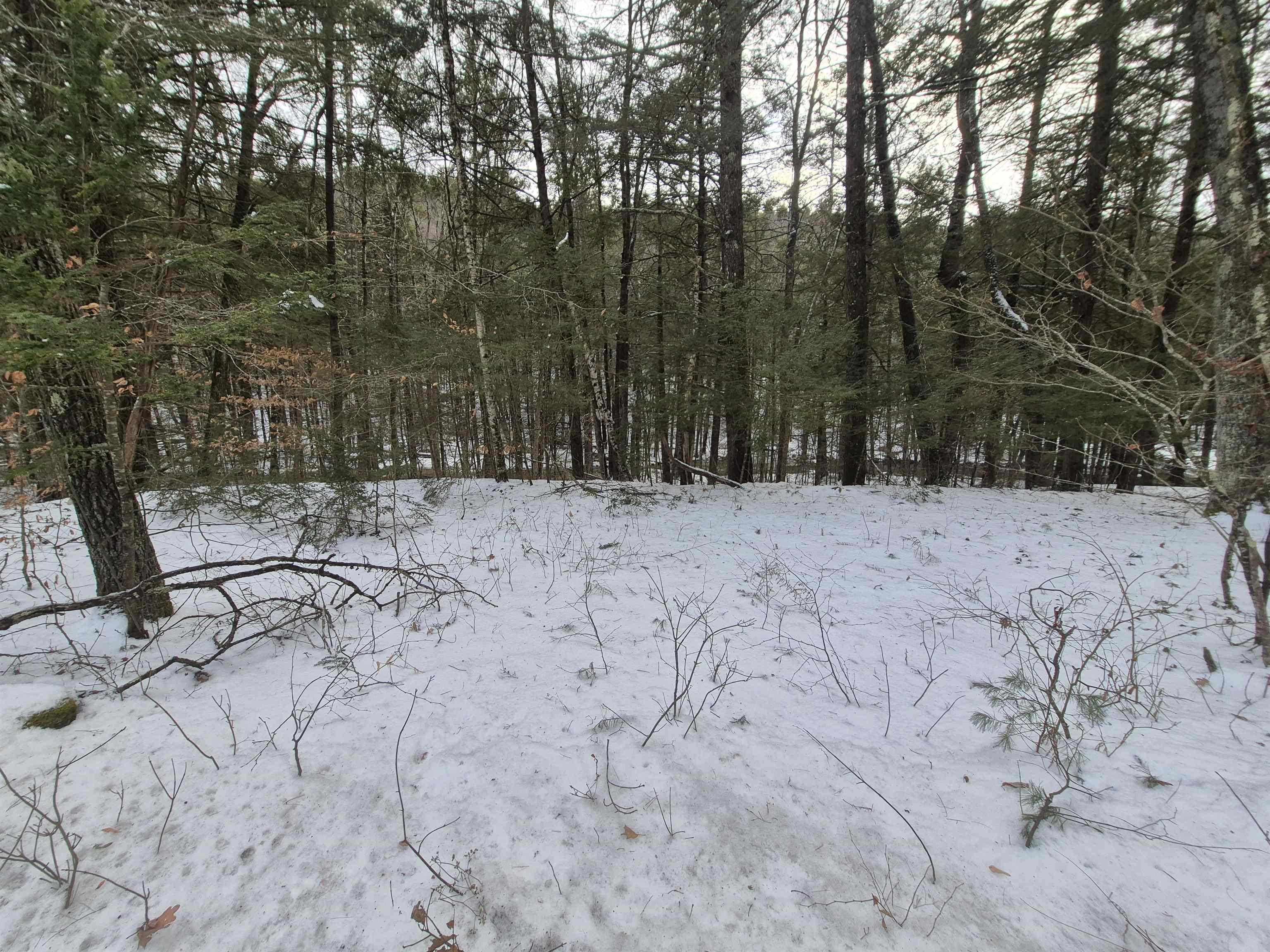 525 Richmond Road Winchester, NH 03470 - Photo 11 of 26