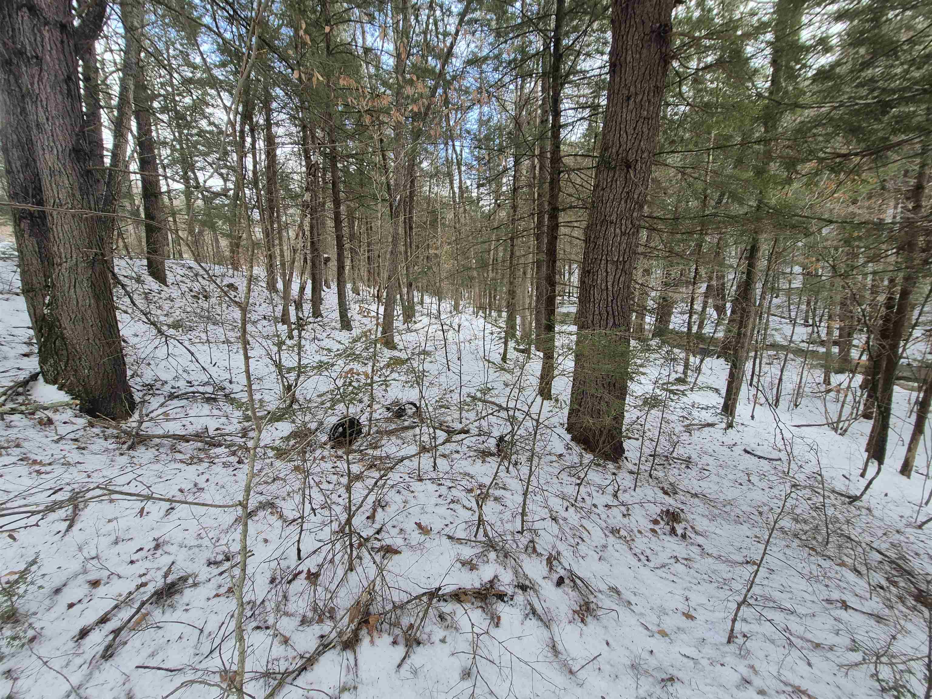 525 Richmond Road Winchester, NH 03470 - Photo 14 of 26