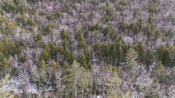 $135,000 | 525 Richmond Road, Winchester, NH 03470