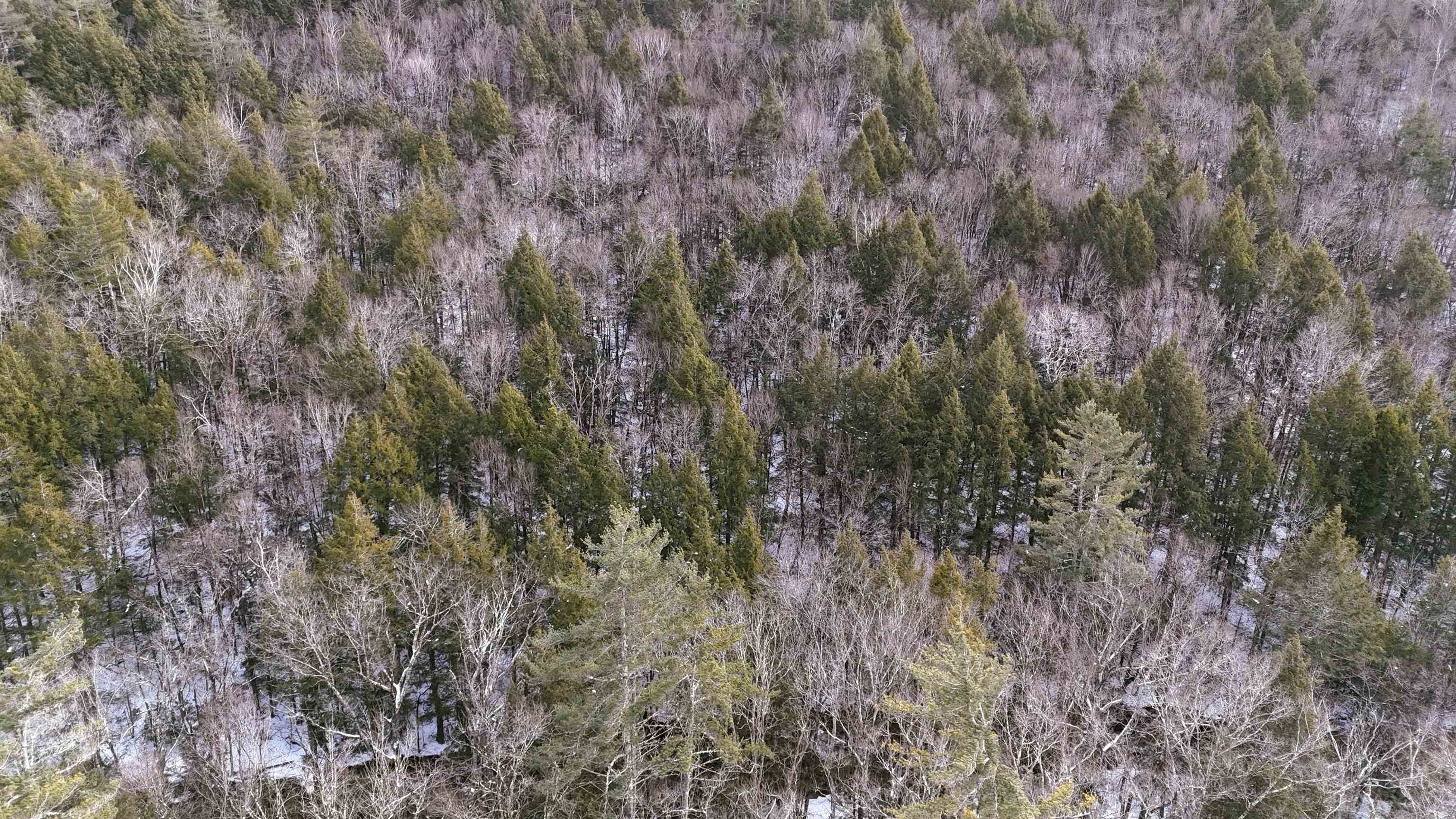 525 Richmond Road Winchester, NH 03470 - Photo 19 of 26