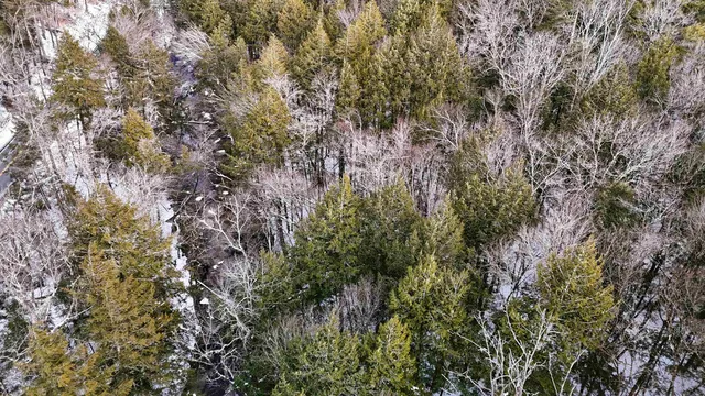 $145,000 | 525 Richmond Road, Winchester, NH 03470