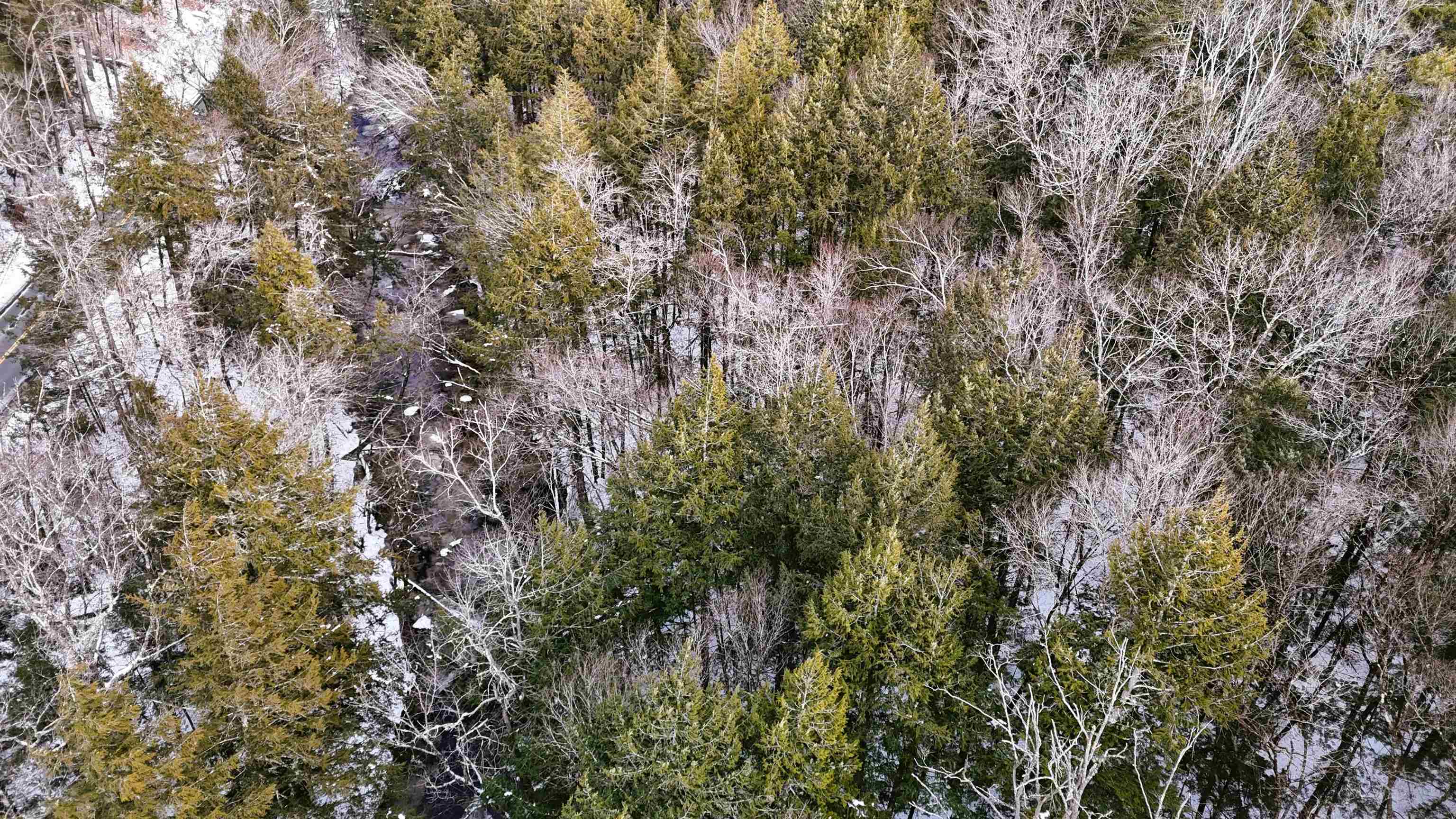 525 Richmond Road Winchester, NH 03470 - Photo 26 of 26