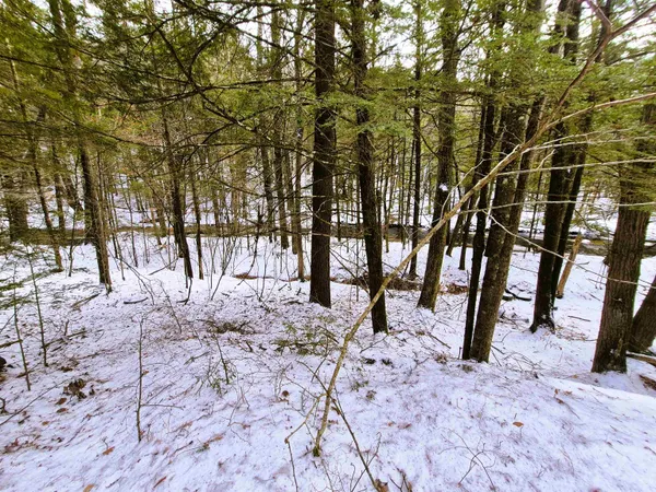 $135,000 | 525 Richmond Road, Winchester, NH 03470