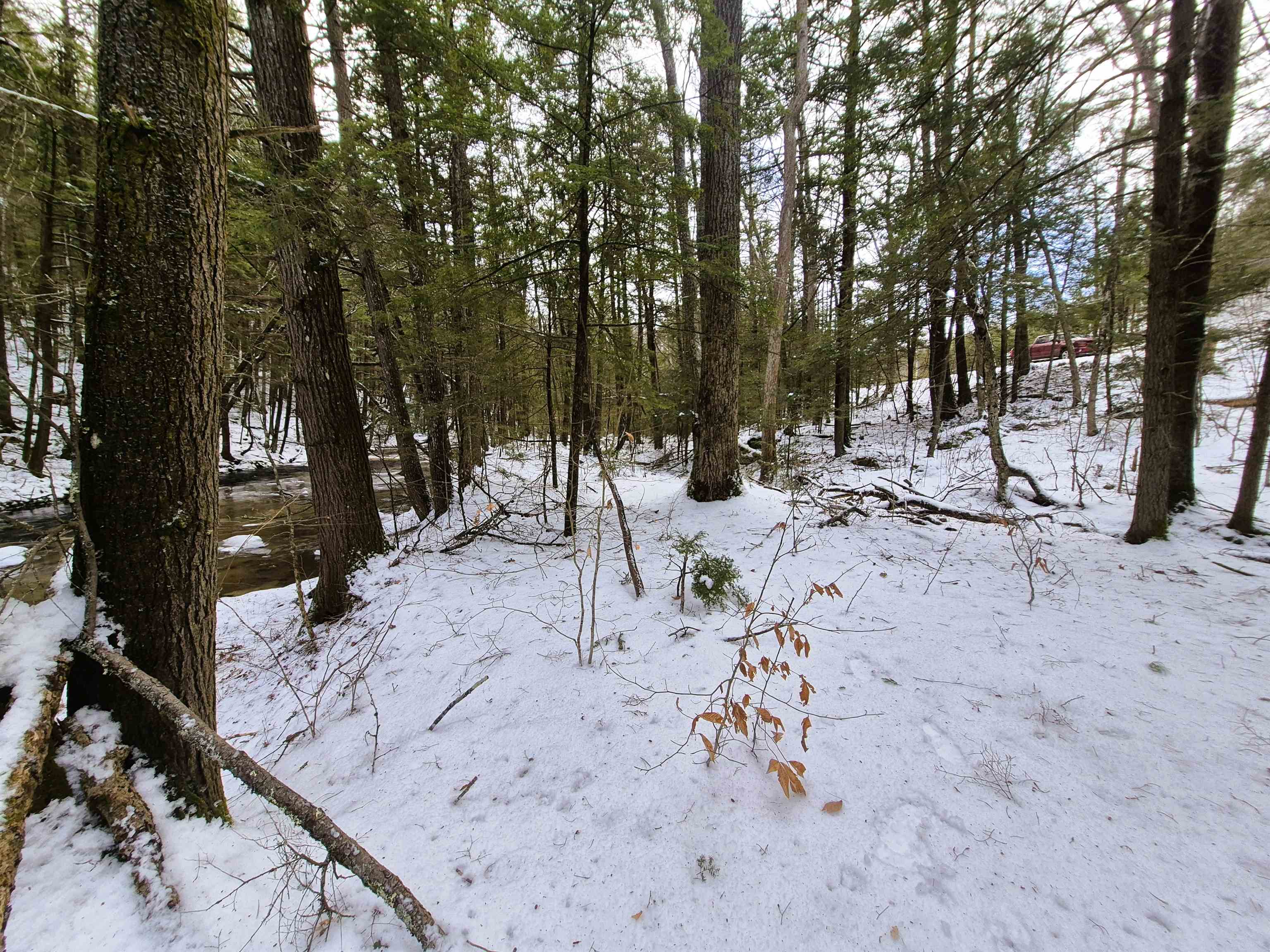 525 Richmond Road Winchester, NH 03470 - Photo 8 of 26