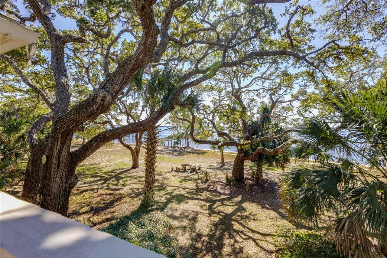 533 Mashes Sands Road Panacea, FL 32346 - Photo 19 of 40 Gallery Image 19