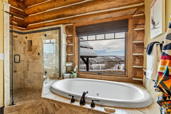 a bathroom with shower and a bathtub