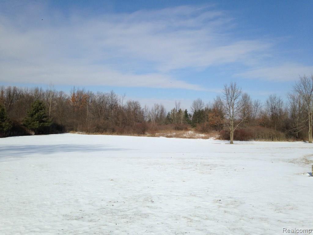 1375 West Marr Road Howell, MI 48855 - Photo 30 of 34 View of backyard