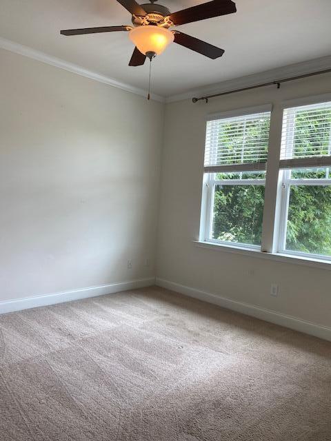 1204 Dingle Road Mount Pleasant, SC 29466 - Photo 11 of 21 IMG_6457