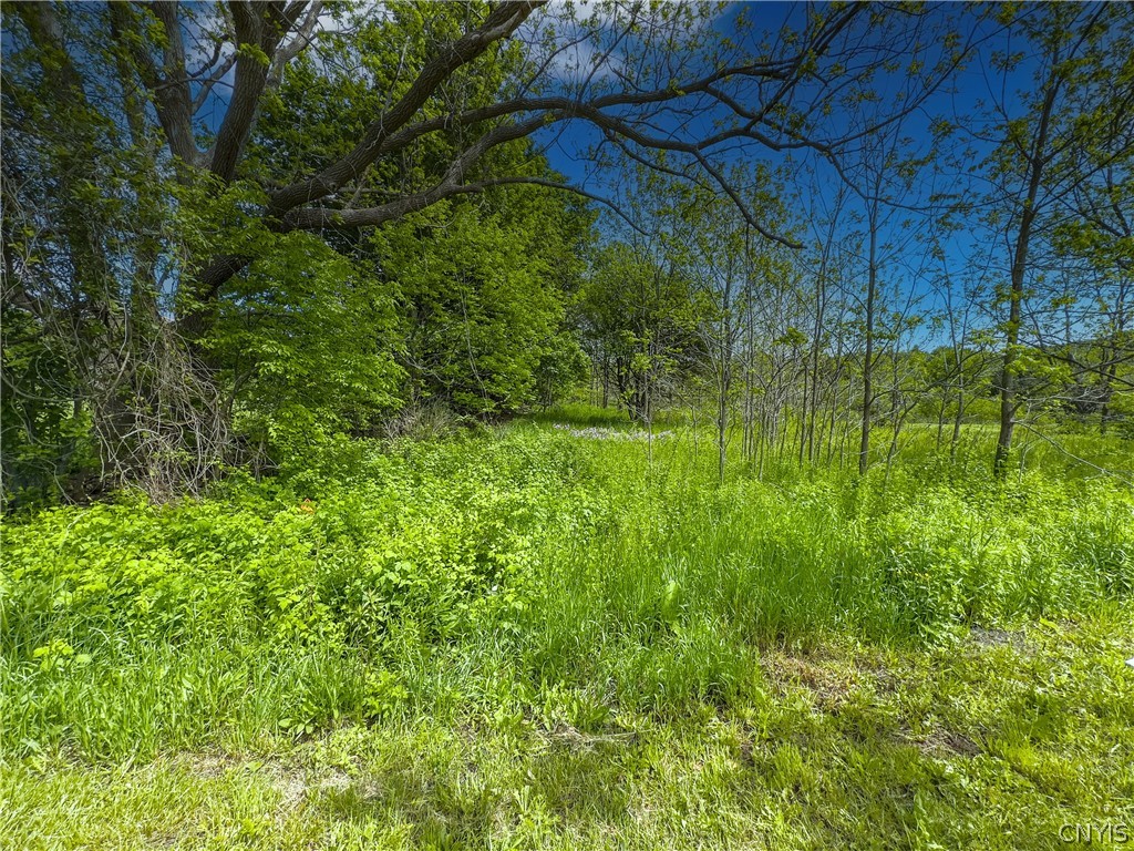 4 County Route Fulton, NY 13069 - Photo 28 of 37