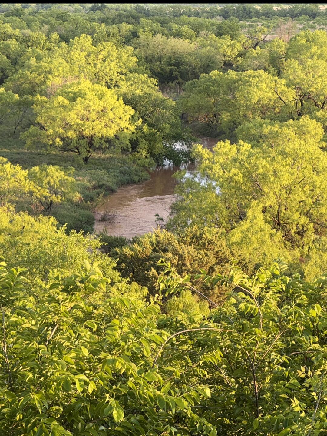 354 Co Road Winters, TX 79567 - Photo 20 of 23 Screenshot_20260605_081350_Gallery