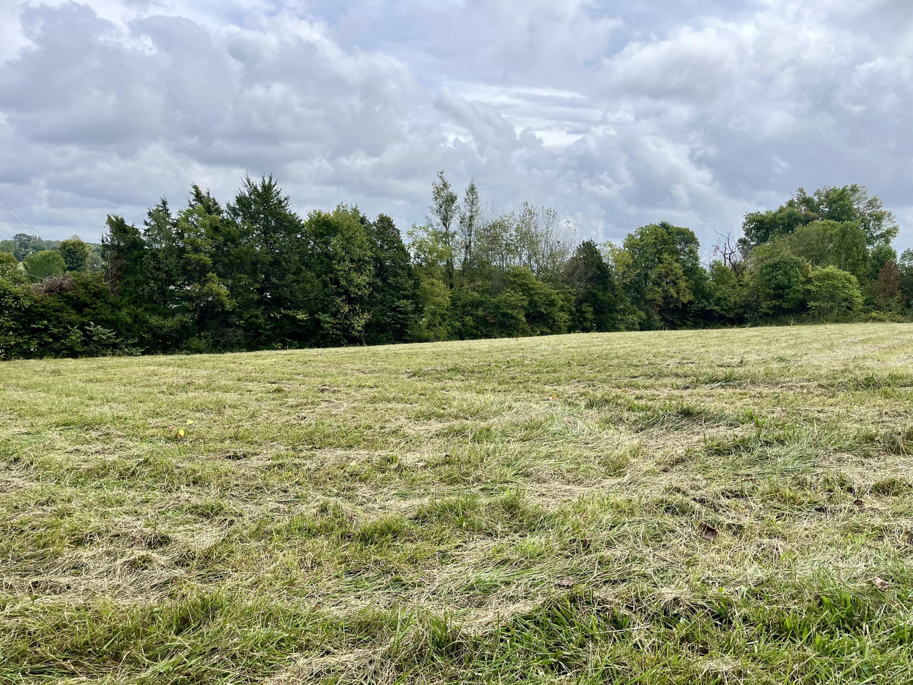 Lot 5 Smith Ridge Road Eubank, KY 42567 - Photo 6 of 24 IMG_4419 2
