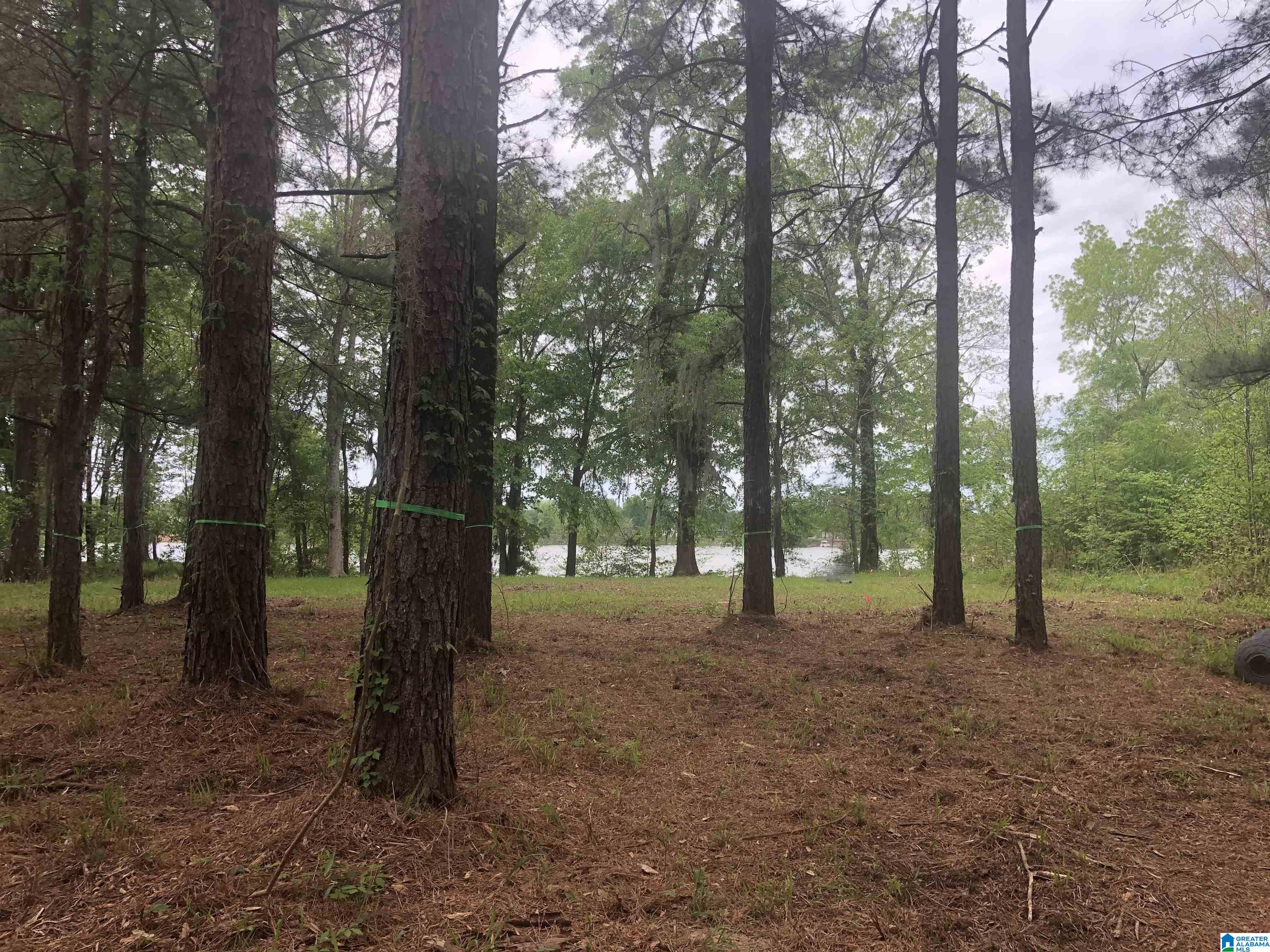 2043 Robinson Pond Road, Unit 2043 Prattville, AL 36067 - Photo 1 of 3