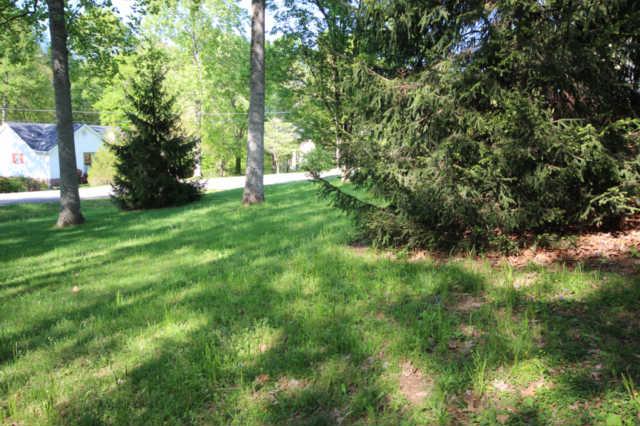 202 Nottingham Road Dickson, TN 37055 - Photo 9 of 20 Park-like yard with mature trees