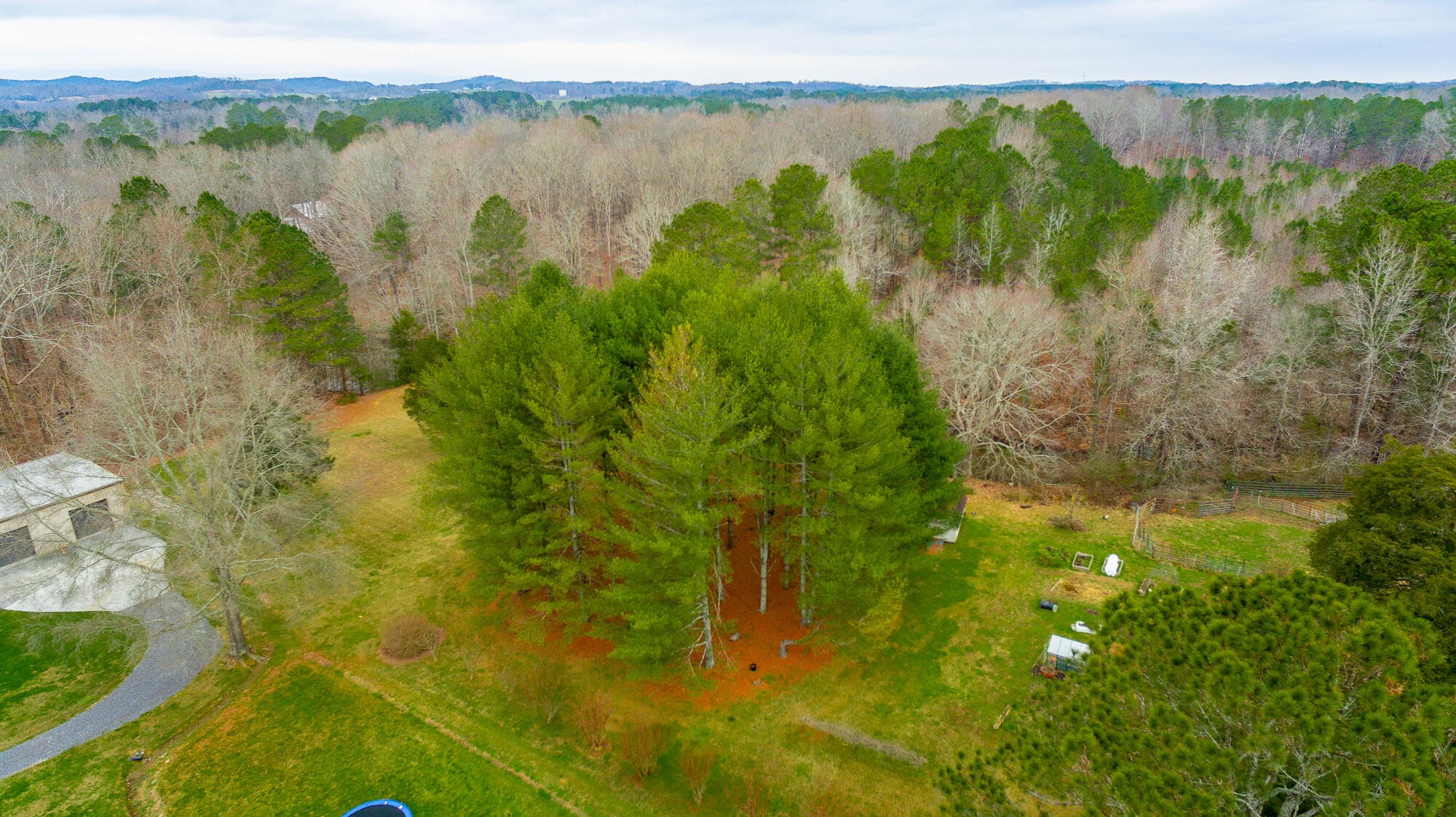 781 East Reed Road LaFayette, GA 30728 - Photo 71 of 73 Gallery Image 71
