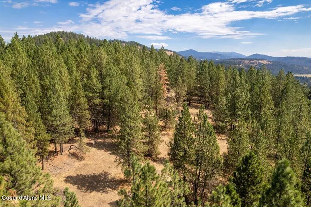 $82,750 | Nna East Holiday Road, Harrison, ID 83833