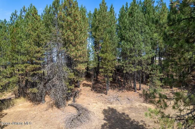 $82,750 | Nna East Holiday Road, Harrison, ID 83833