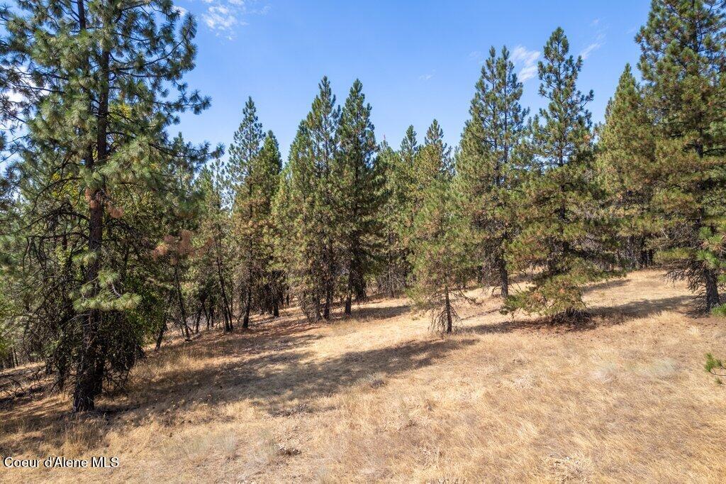 Nna East Holiday Road Harrison, ID 83833 - Photo 22 of 25 024-nkaHolidayRoadmaps5103EastHolidayRoa