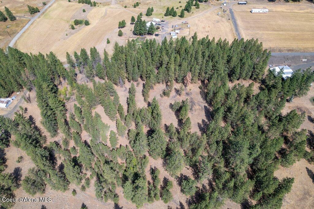 Nna East Holiday Road Harrison, ID 83833 - Photo 7 of 25 017-nkaHolidayRoadmaps5103EastHolidayRoa