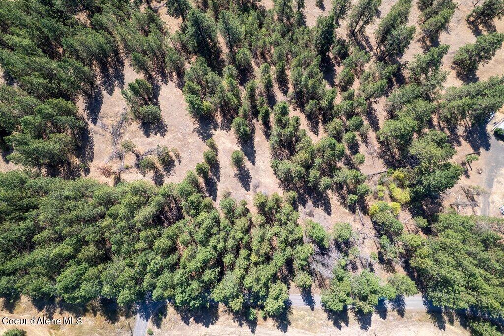 Nna East Holiday Road Harrison, ID 83833 - Photo 8 of 25 004-nkaHolidayRoadmaps5103EastHolidayRoa