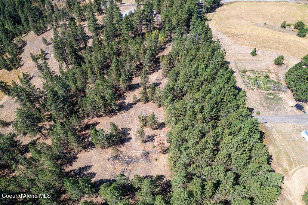 Nna East Holiday Road Harrison, ID 83833 - Photo 9 of 25 005-nkaHolidayRoadmaps5103EastHolidayRoa