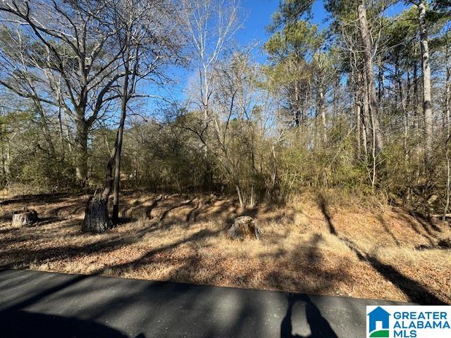 437 Hall Burton Road, Unit 1 Sumiton, AL 35148 - Photo 3 of 6