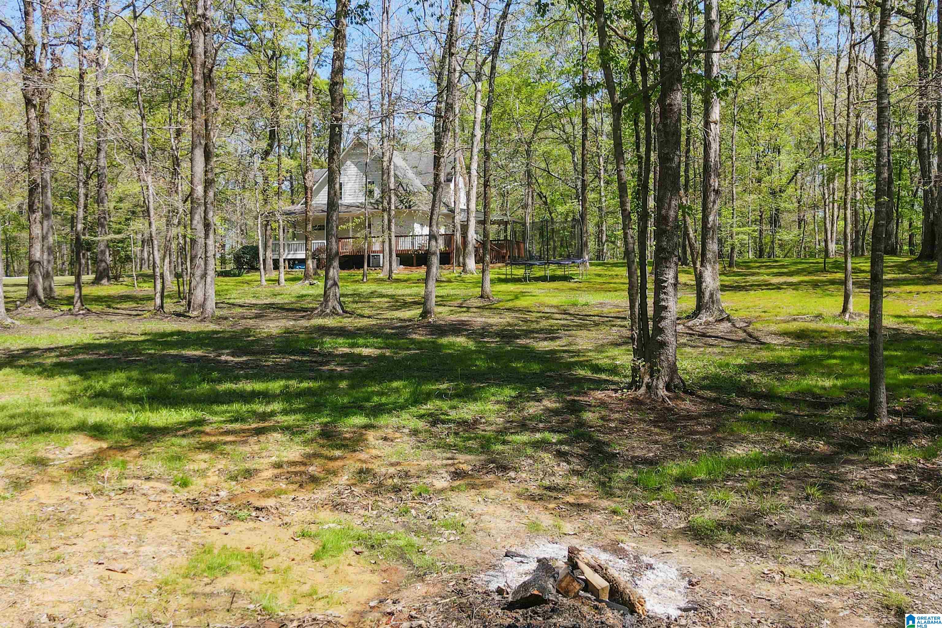 370 Dorough Road Columbiana, AL 35051 - Photo 67 of 89 Gallery Image 67