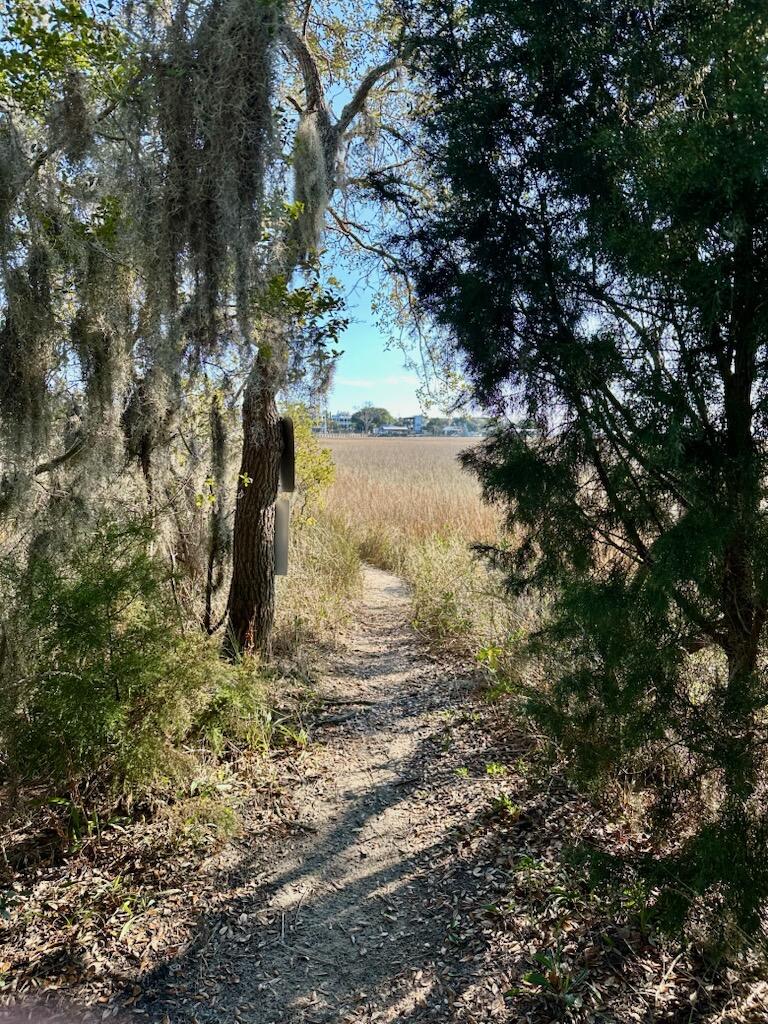312 Bayview Drive Mount Pleasant, SC 29464 - Photo 57 of 58 IMG_4836