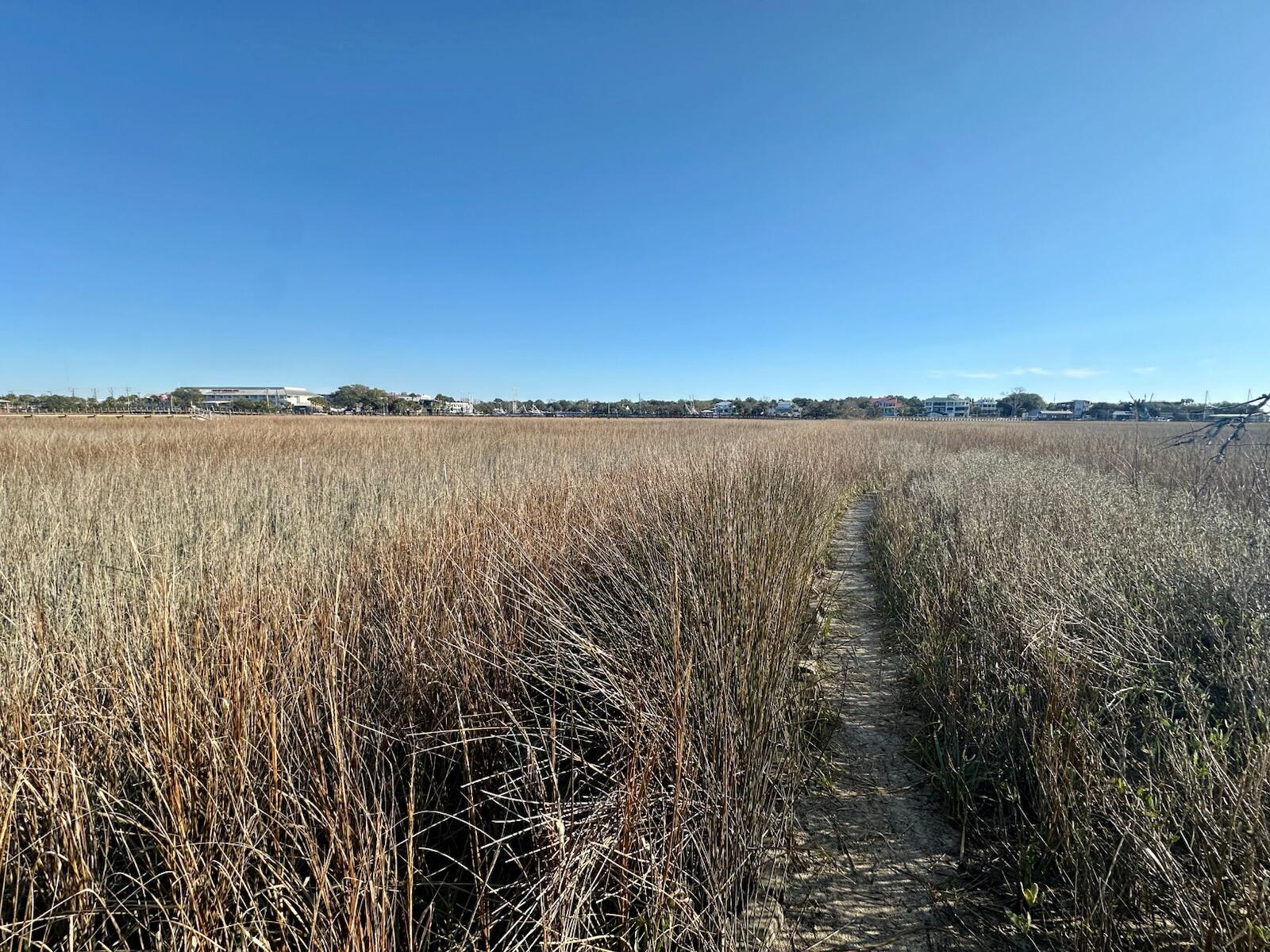 312 Bayview Drive Mount Pleasant, SC 29464 - Photo 58 of 58 IMG_4838