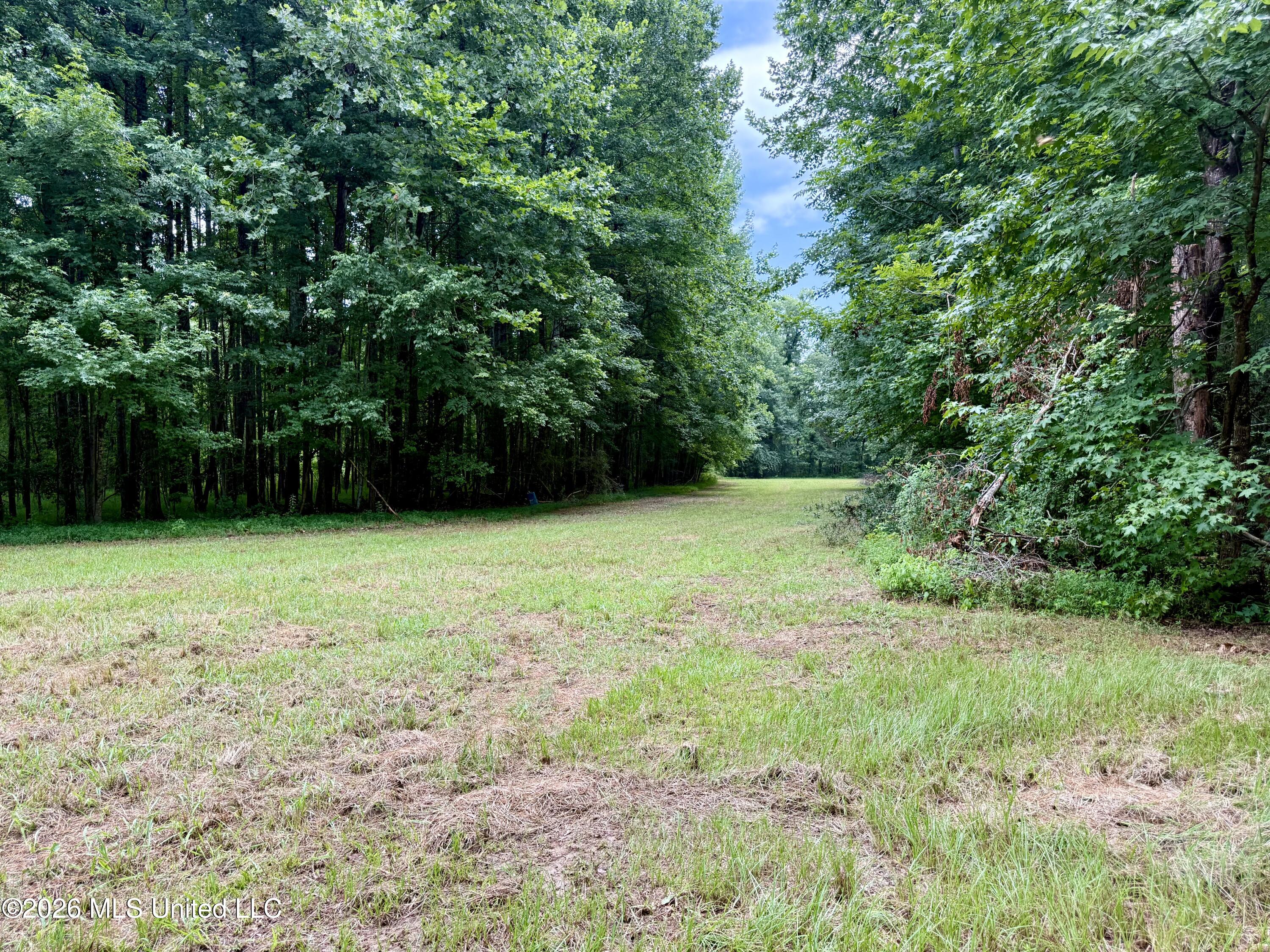 568 Smith-Bailey Road Durant, MS 39063 - Photo 68 of 81 Photo Jul 02 2026, 2 44 35 PM