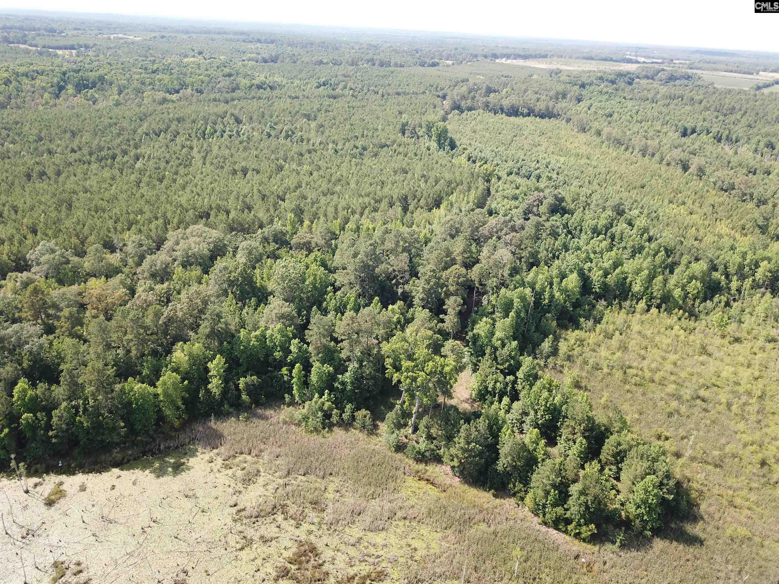 91 Shiver Road Rembert, SC 29128 - Photo 15 of 23