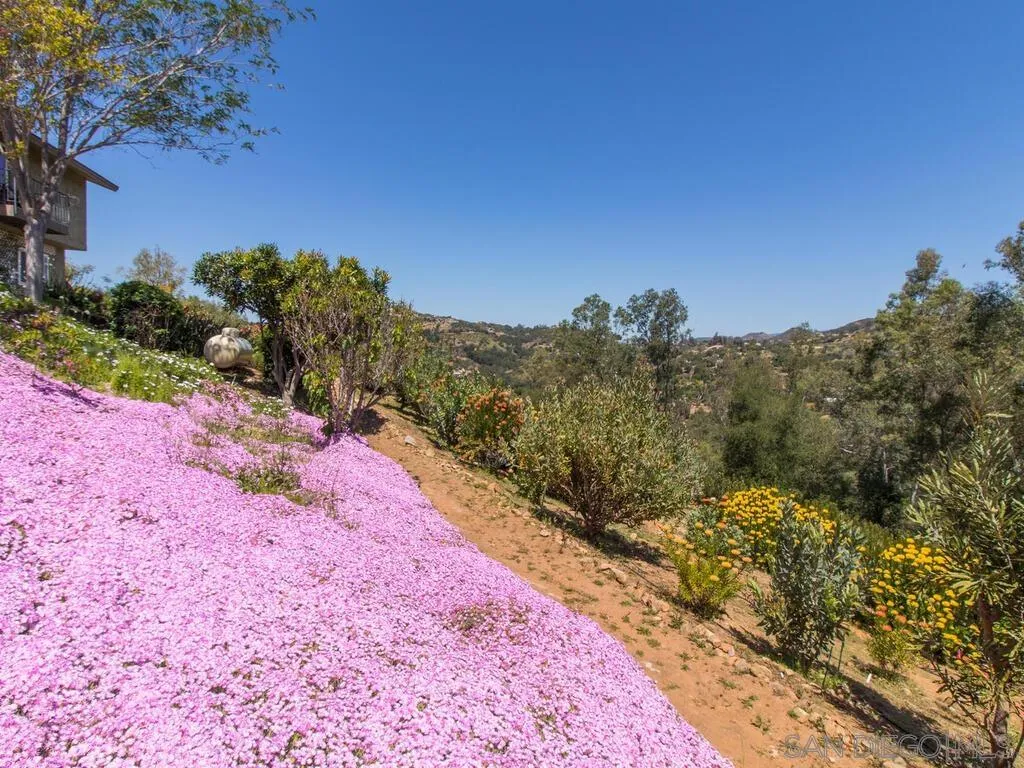 29513 Anthony Road Valley Center, CA 92082 - Photo 44 of 59 a view of a yard