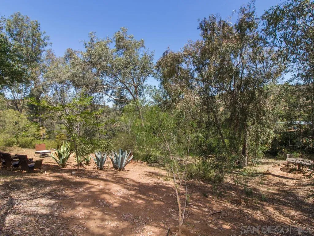 29513 Anthony Road Valley Center, CA 92082 - Photo 59 of 59 a view of a yard with trees
