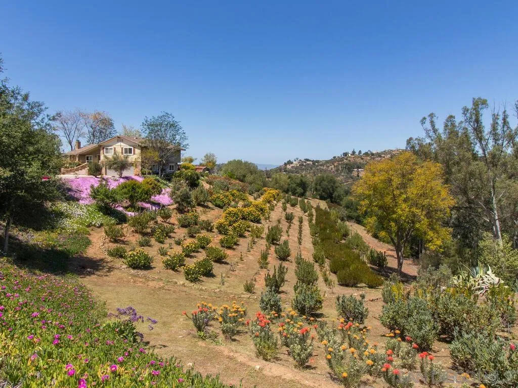 29513 Anthony Road Valley Center, CA 92082 - Photo 6 of 59 a view of a yard