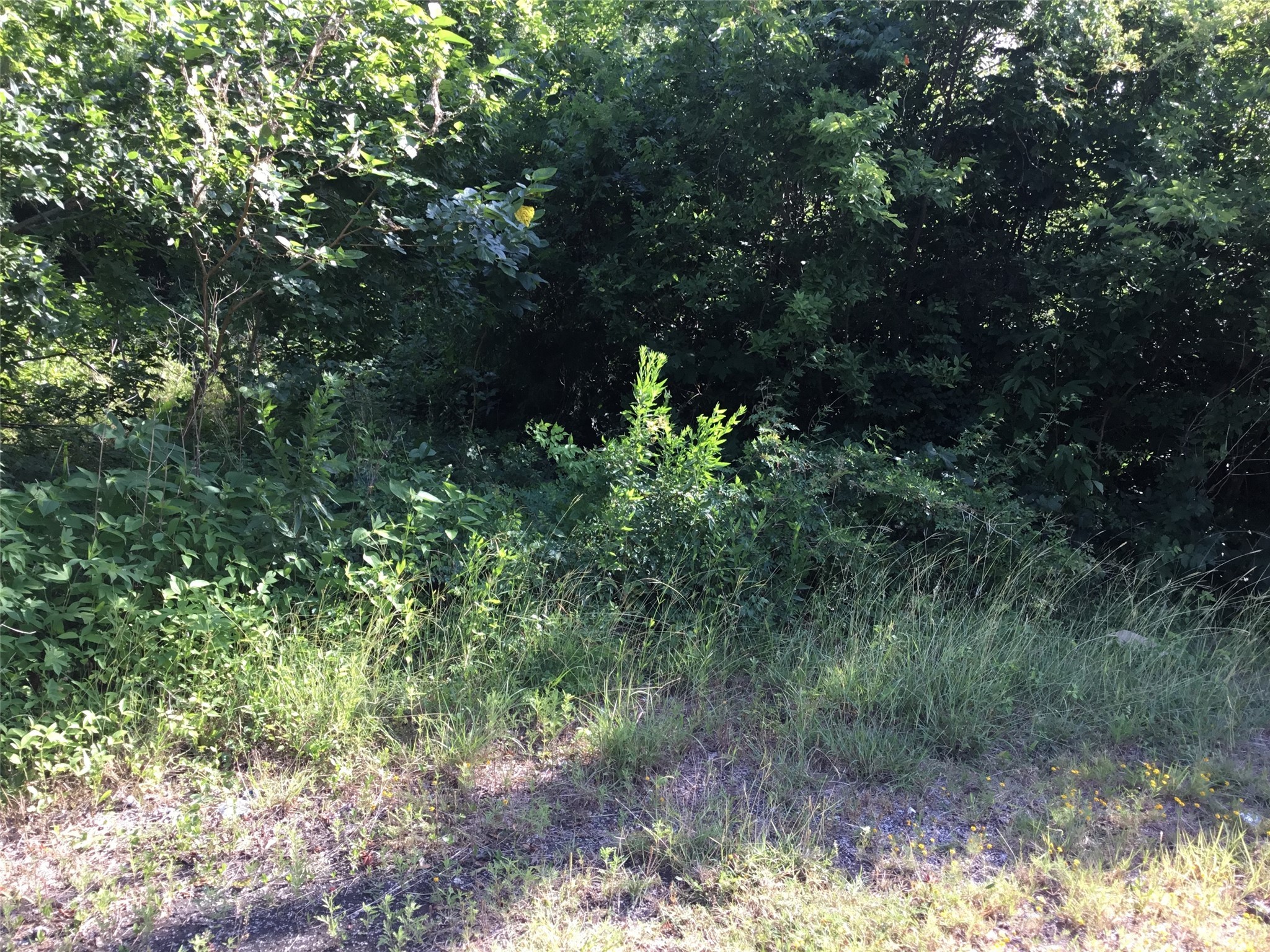 1817 West Cedar Bayou Lynchburg Road Baytown, TX 77521 - Photo 7 of 13 a view of a yard