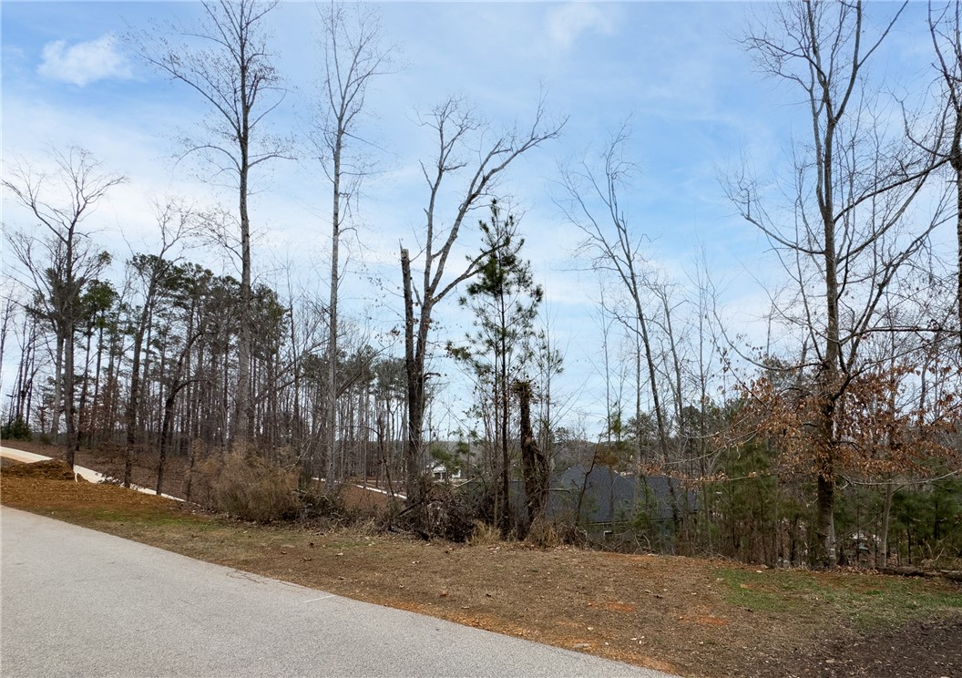 Lot 17 Retreat Pointe Road West Union, SC 29696 - Photo 3 of 22 This scenic lot offers a tranquil setting with ample trees and distant water views.