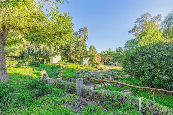 a view of a garden with a tree