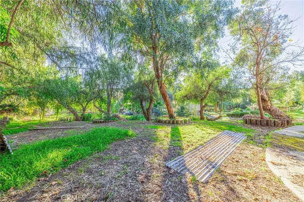 a view of a yard with plants and trees