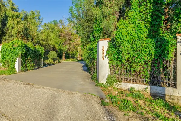 a view of a garden with large trees