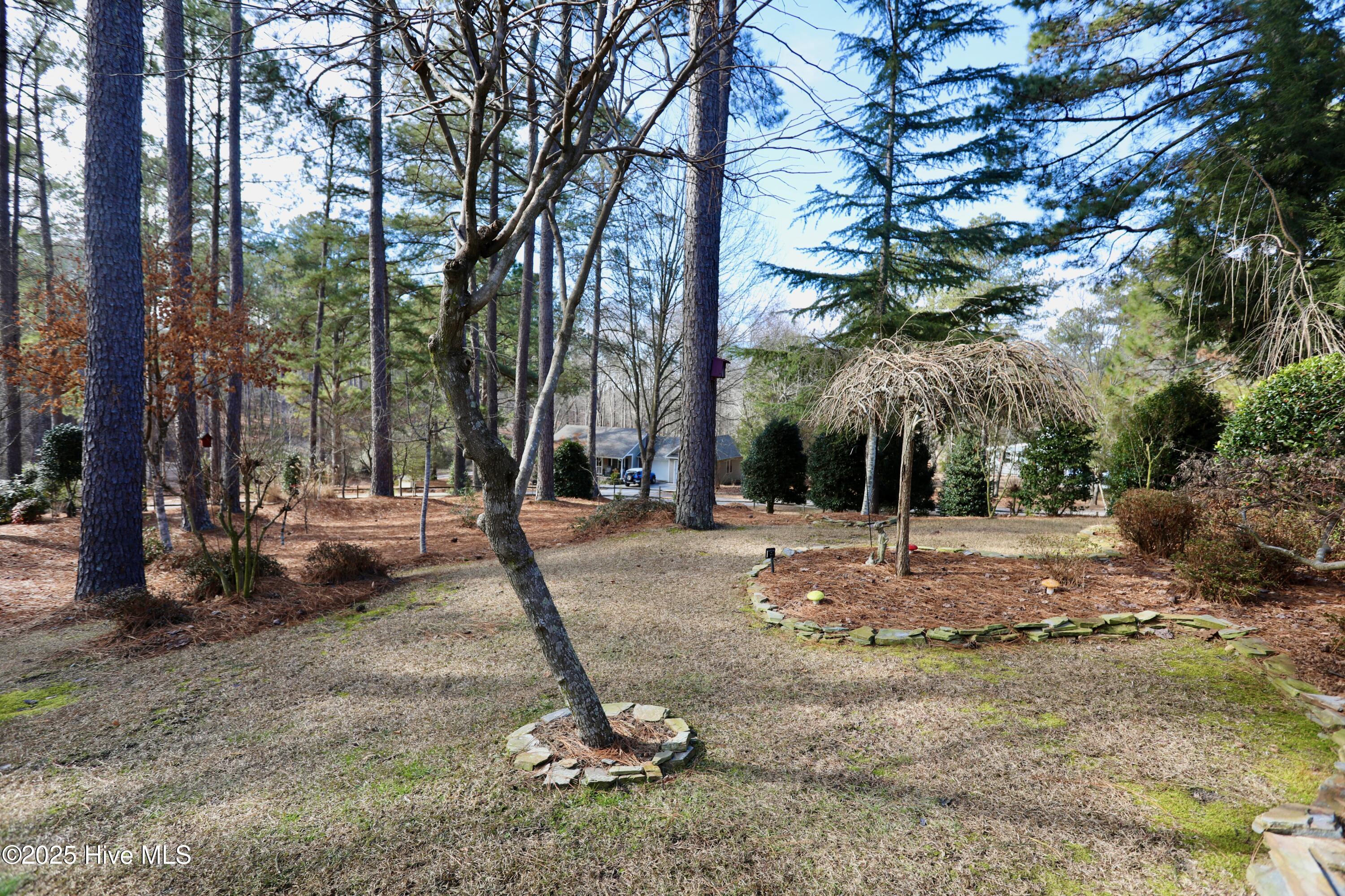 164 Tanner Lane West End, NC 27376 - Photo 8 of 48 023A9885