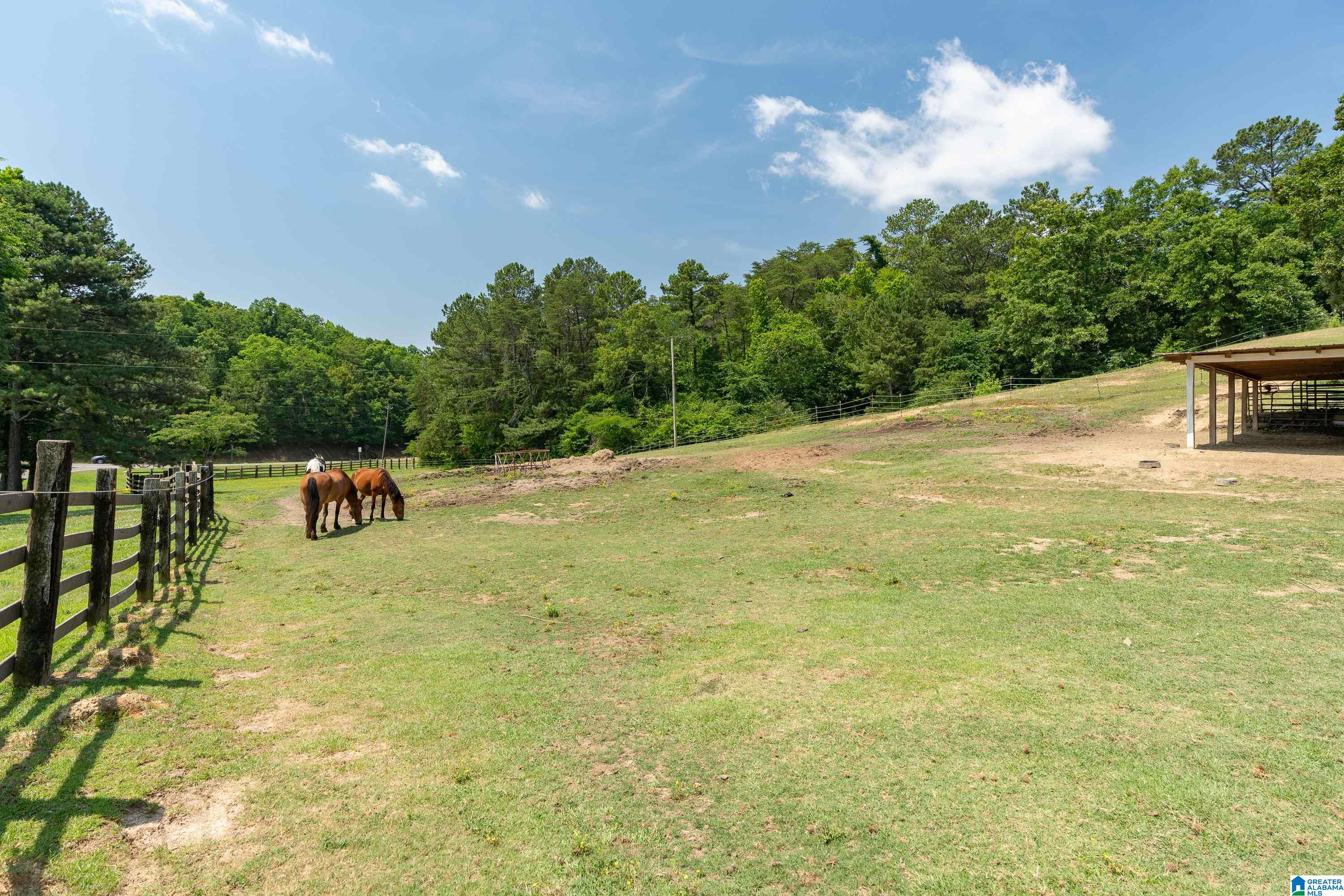 1034 Bob Glenn Road Morris, AL 35116 - Photo 33 of 60